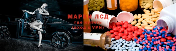 ГАЛЛЮЦИНОГЕННЫЕ ГРИБЫ Аркадак