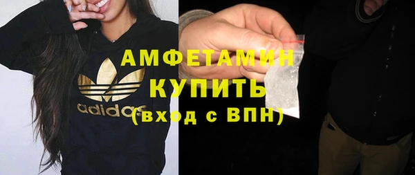 ГАЛЛЮЦИНОГЕННЫЕ ГРИБЫ Аркадак