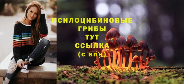 ГАЛЛЮЦИНОГЕННЫЕ ГРИБЫ Аркадак
