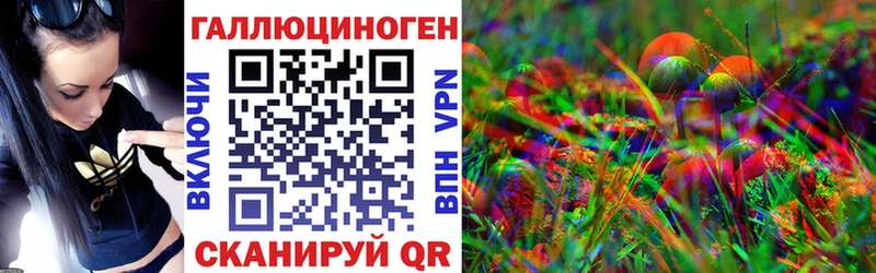 купить наркоту  Ершов  МЕГА   Псилоцибиновые грибы прущие грибы 